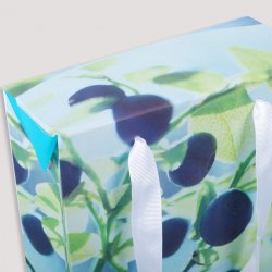 Papirposer med lukking