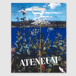 Miljposer  PLA/Gjenvunnetpolyethylene