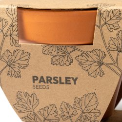 TULSY Sett med to blomsterpotter med persille og basilikum fr