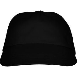 BASICA Cap (GO7000)