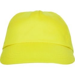 BASICA Cap (GO7000)