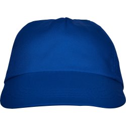 BASICA Cap (GO7000)