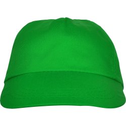 BASICA Cap (GO7000)