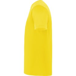 DAYTONA Mens Teknisk T-skjorte