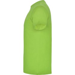 BEAGLE Klassisk kortermet T-skjorte