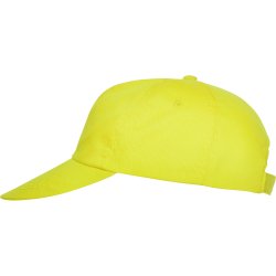 BASICA Cap (GO7000)