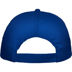 BASICA Cap (GO7000)