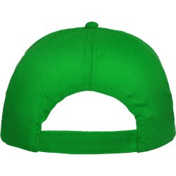 BASICA Cap (GO7000)