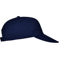 BASICA Cap (GO7000)