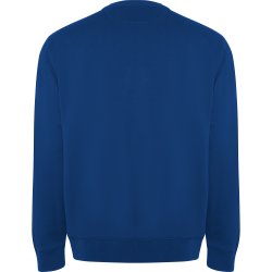 BATIAN Collegegenser  i organisk bomull og resirkulert polyester 