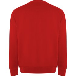 BATIAN Collegegenser  i organisk bomull og resirkulert polyester 