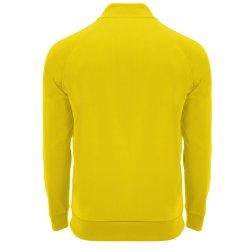 EPIRO 1/4 Zip Sport Sweatshirt  Mens /Jr.